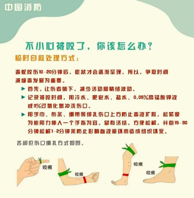 死亡记录：曾诊断为不明生物咬伤(神经毒蛇) 等开元棋牌“三亚旅游被不明物咬伤身亡27岁女子”(图5)