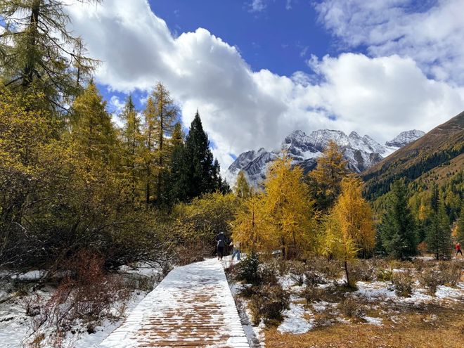 文旅服务社榜团体服务+IP定制游标杆开元棋牌app2025四川旅行社政企